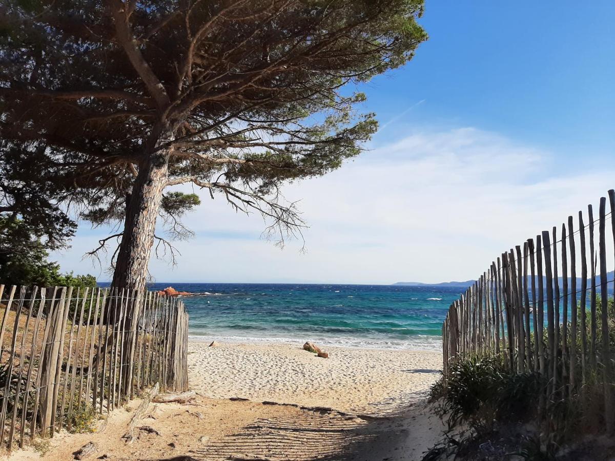 Cyrnea B&B - Adults Only Porto-Vecchio  Buitenkant foto